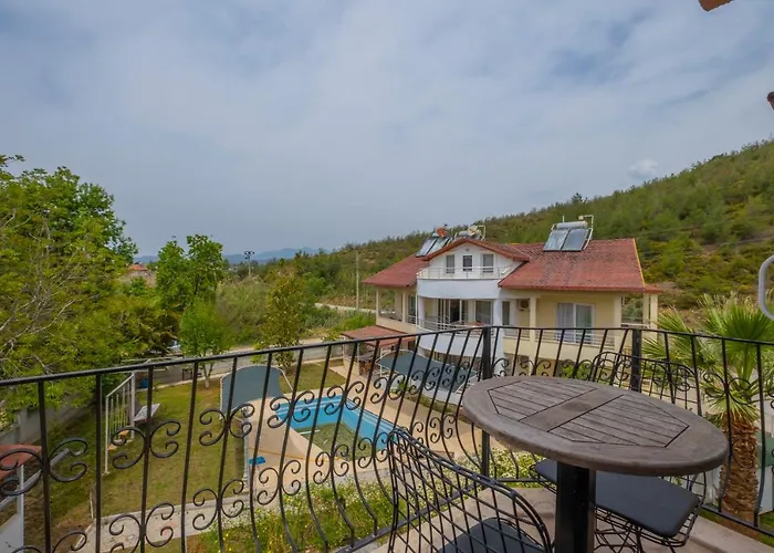 Infinity Lily Parco vacanze