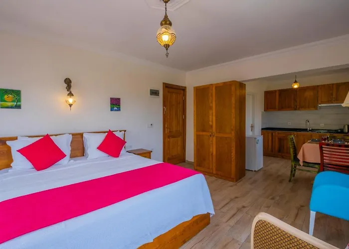 Infinity Lily 2* Fethiye