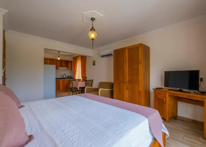 Infinity Lily 2* Fethiye