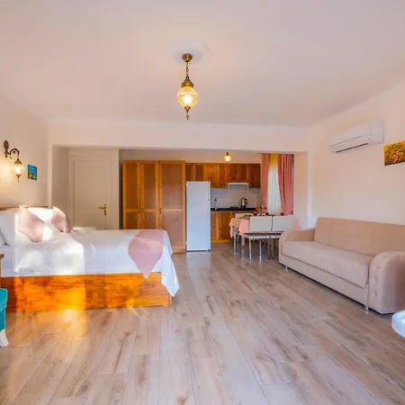 Infinity Lily 2* Fethiye