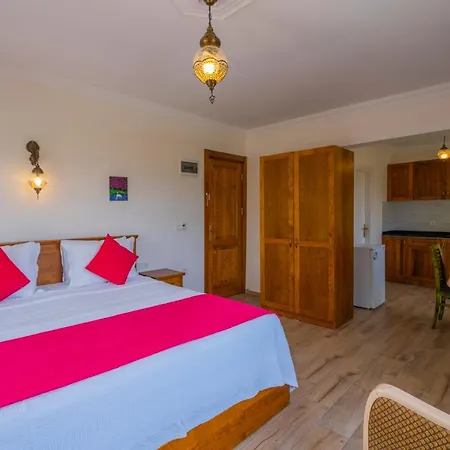 Infinity Lily 2* Fethiye