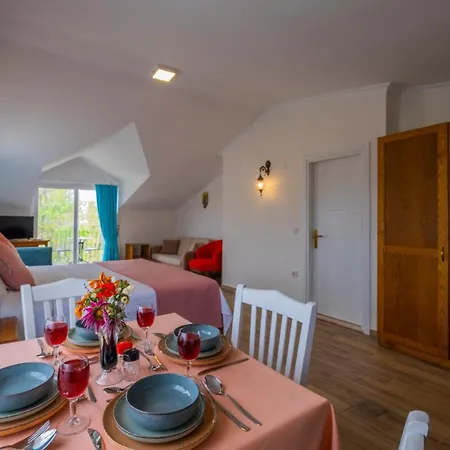 Tatil parkı Infinity Lily 2*